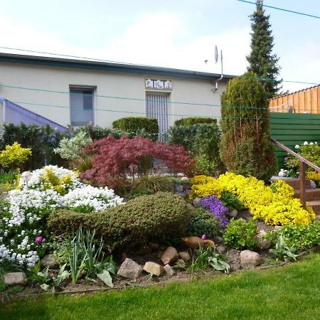 Pension Am Peeneufer Ug Wolgast Exterior foto